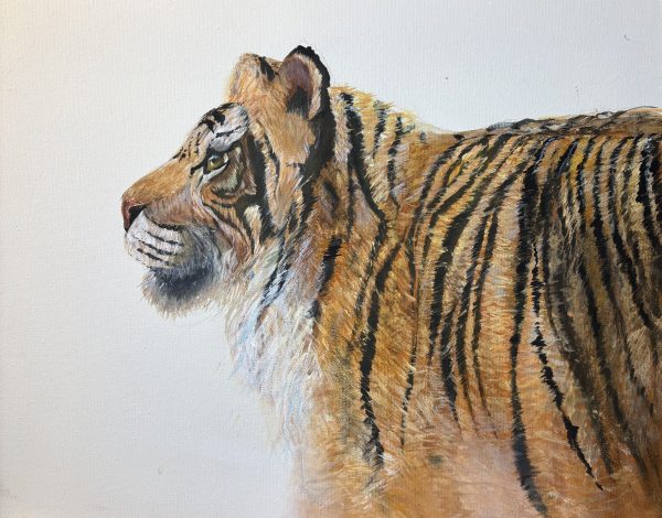Tiger Painting